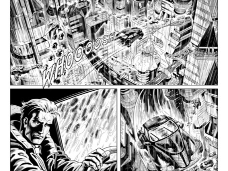 Immagine 1 del portfolio di Patrizia Mandanici