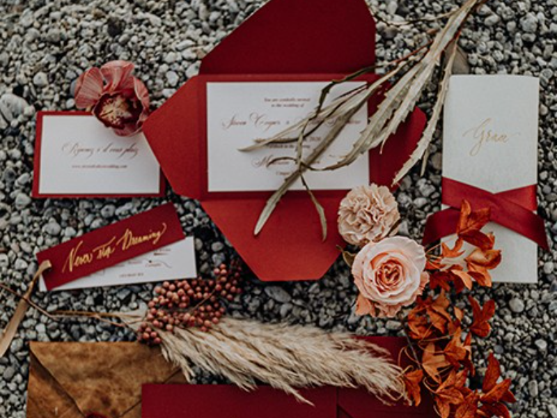 Immagine 4 del portfolio di Alice Bevilacqua