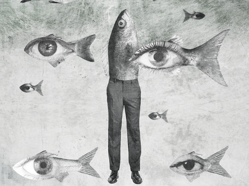 Immagine 1 del portfolio di Francesca Macciò