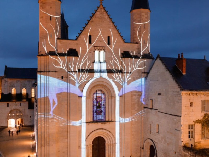 Immagine 3 del portfolio di Francesca Macciò