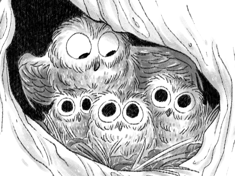 Immagine 3 del portfolio di Giulia Iori