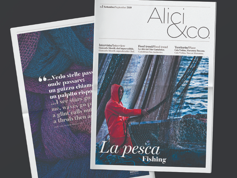 Immagine 1 del portfolio di Stefano Domizi