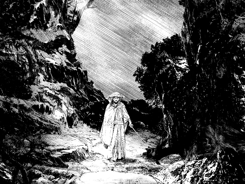 Immagine 6 del portfolio di Federico Ferniani