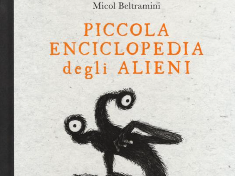 Immagine 6 del portfolio di Micol Arianna Beltramini